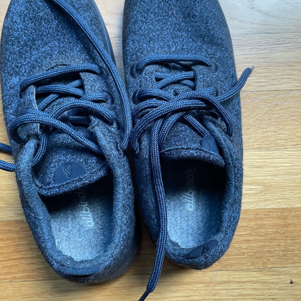 Allbirds Cozy Wool Sneakers in Navy Blue